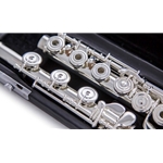 WM. S. Haynes AF780SE-BO Amadeus Professional Flute with Haynes Solid Silver Headjoint and Solid Silver Body and B-Foot