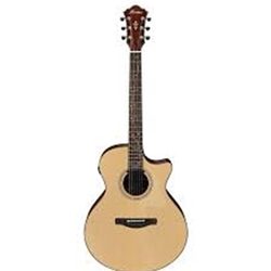 Ibanez AE275LGS - AE Acoustic Electric Guitar - Natural Low Gloss
" 2024 MODEL CLOSEOUT"