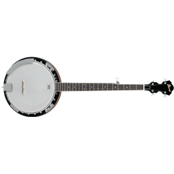 Ibanez B50 Banjo