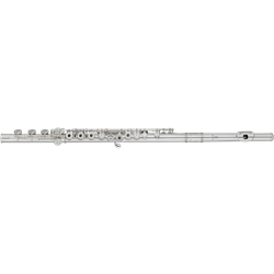 HFLBRVO1 Haynes Bravo Silver Plated Flute, Open Hole, B-Foot- Solid Silver Headjoint